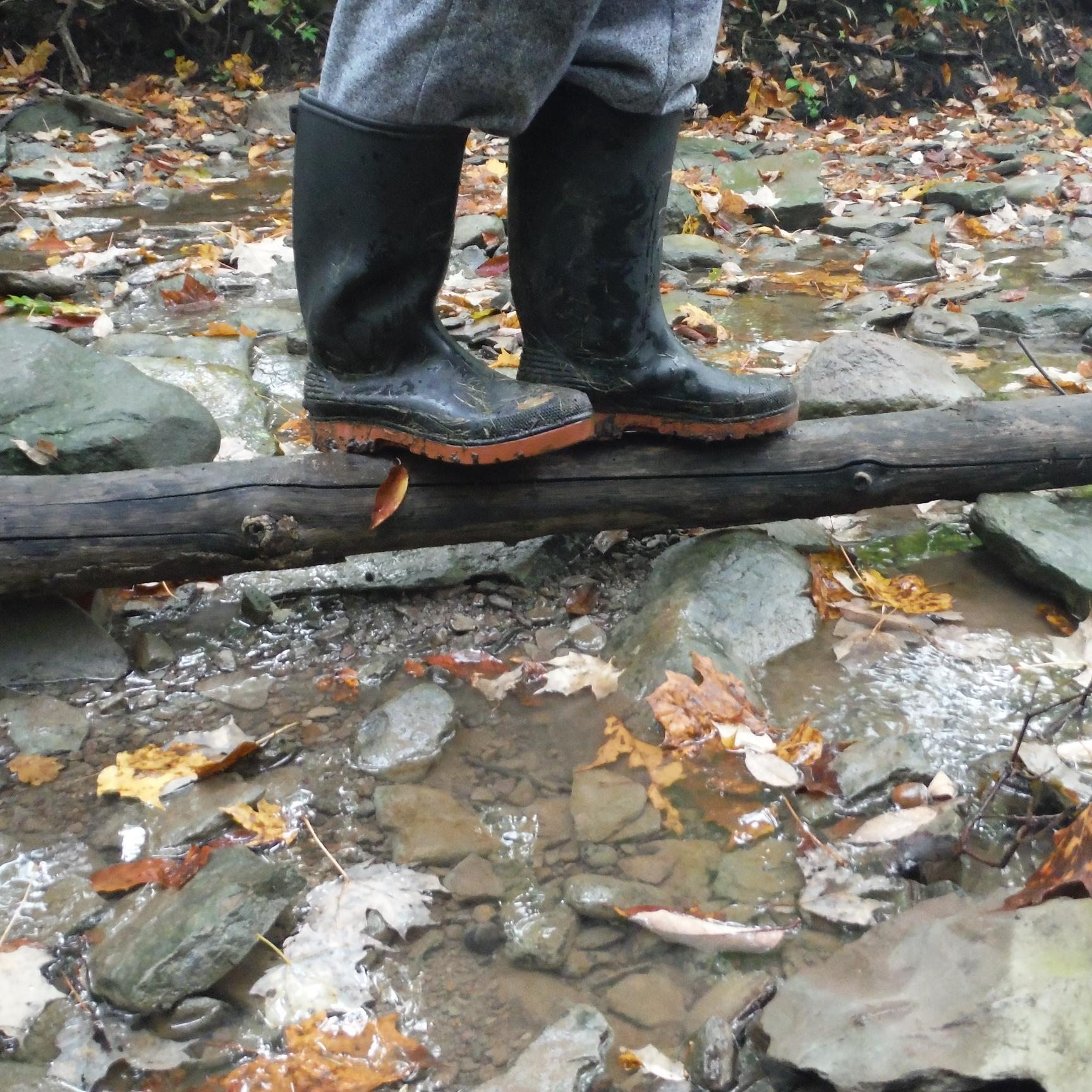 NorvalUCC's profile picture. 