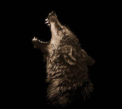 hany_yasen's profile picture. eino