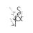 TheSeedandPlate's profile image