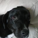 Chris Lupton - @lupton_cl - Twitter