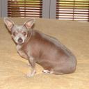 Patricia Longbottom - @patricialongbo1 - Twitter