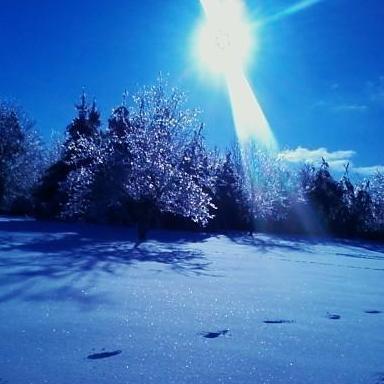 judyjam1222's profile picture. 