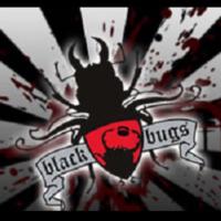 Blackbugs (@blackbugs05) 's Twitter Profile