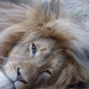 Barnaby Hall - @vestiareman - Twitter