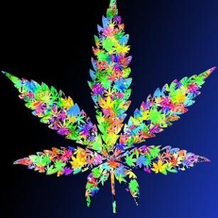 MalyGerman's profile picture. 