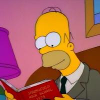 Homer Simpson(@Wisdom_Of_Homer) 's Twitter Profile Photo