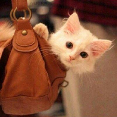 استغفر الله العظيم وأتوب أليه♡