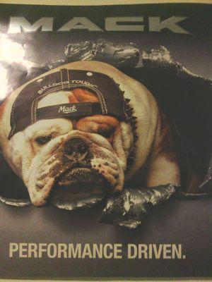 EalyyJoe's profile picture. 