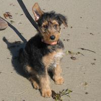 Eddie Strange (@spudfoxpoint) 's Twitter Profile