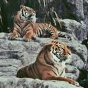 Elisa Probst - @1b5623678c664d1 - Twitter