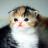 vakratunda27's profile image