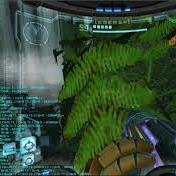 ImamMaigoro's profile picture. 