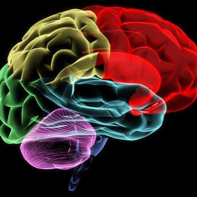 How would the perfect lesson look if neuro scientists could decide? We want to spread knowledge about space learning the method that benefits our memory.