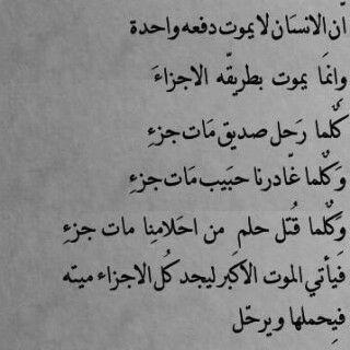 Beso_155's profile picture. ‏‏آحدثك عن وجَعي ؟    دقآئق بُعدك ، وَ وجود مِن يُحِبك معَك   وآنتظاري لِ حديثِك