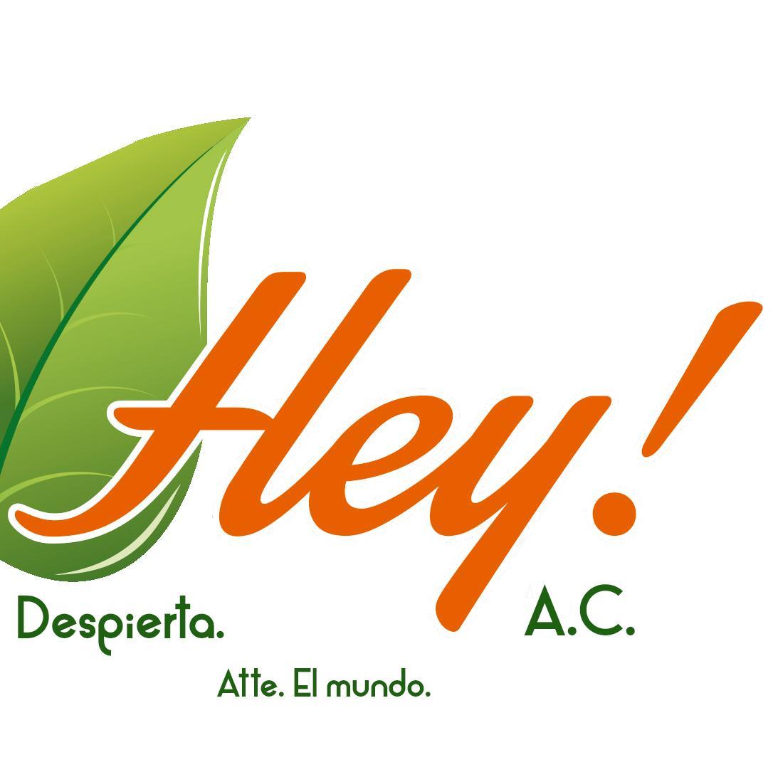 Asociación Civil preocupada por la problemática ambiental actual, comprometida en crear mayor conciencia ecológica a través de eventos  con sentido verde. .