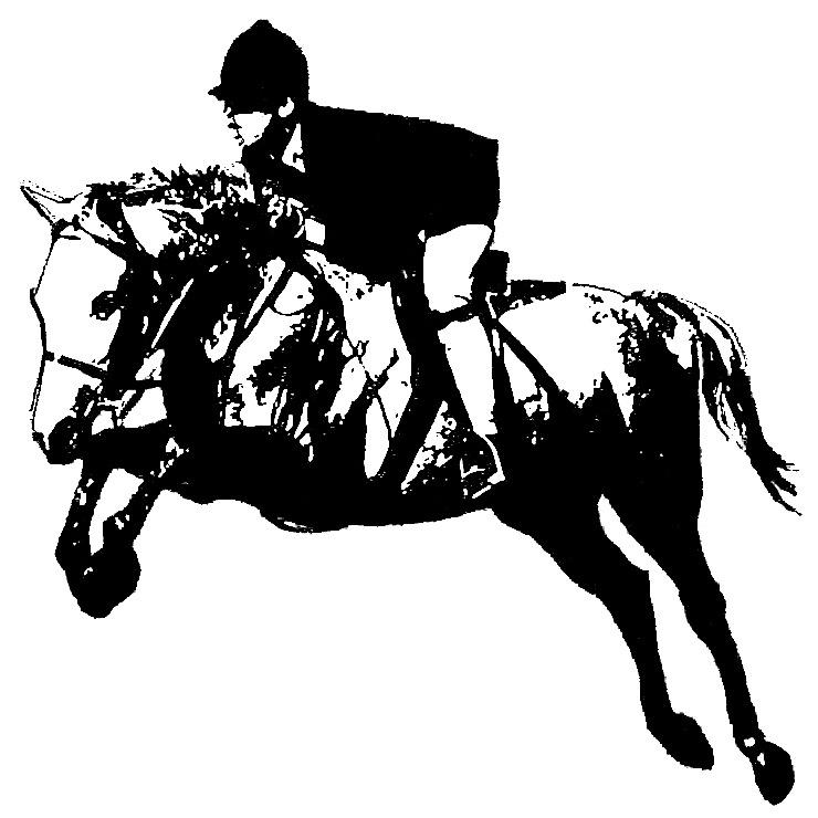 SkylandFarm's profile picture. Skyland Farm is a full-service hunter/jumper show facility located in the scenic hunt country of Middleburg, Virginia.