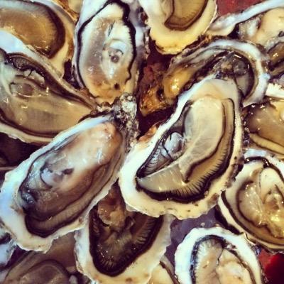 plowmanrussell's profile picture. 