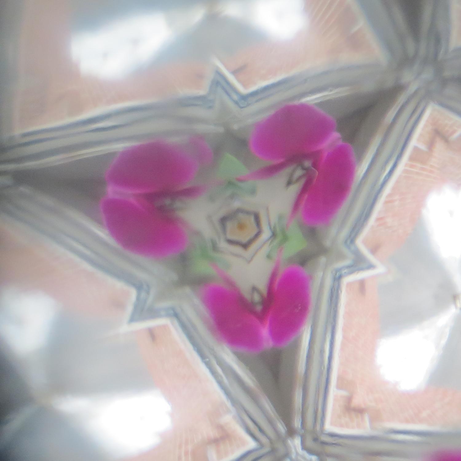 pfuideibel's profile picture. 