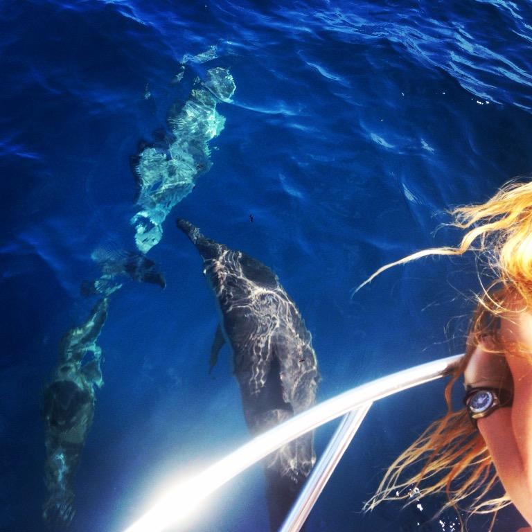 Lauren_2P's profile picture. Talents include: drinking red wine & inappropriate sarcasm