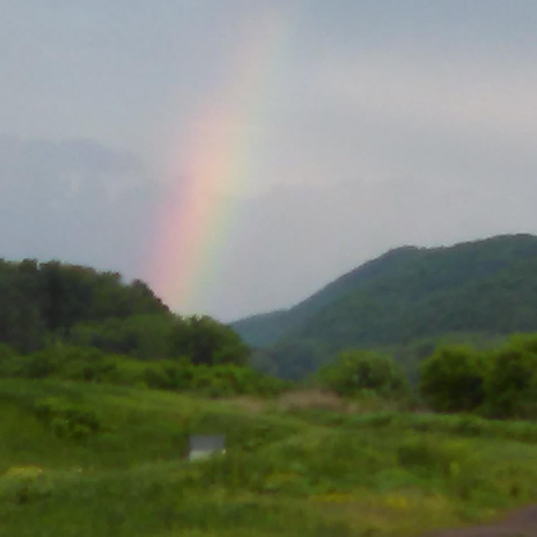 mrscallahanbasd's profile picture. 