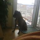 Jaime Blasco - @jaimeblasco52 - Twitter