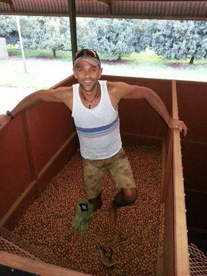 hombusnusMPE's profile picture. Work on Web and make extra  income