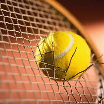 Politique, Humour, Sports (surtout Tennis), Télévision