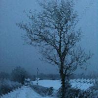 Ralph Wilson (moving to bluer skies💙) (@voyagerandroid) 's Twitter Profile