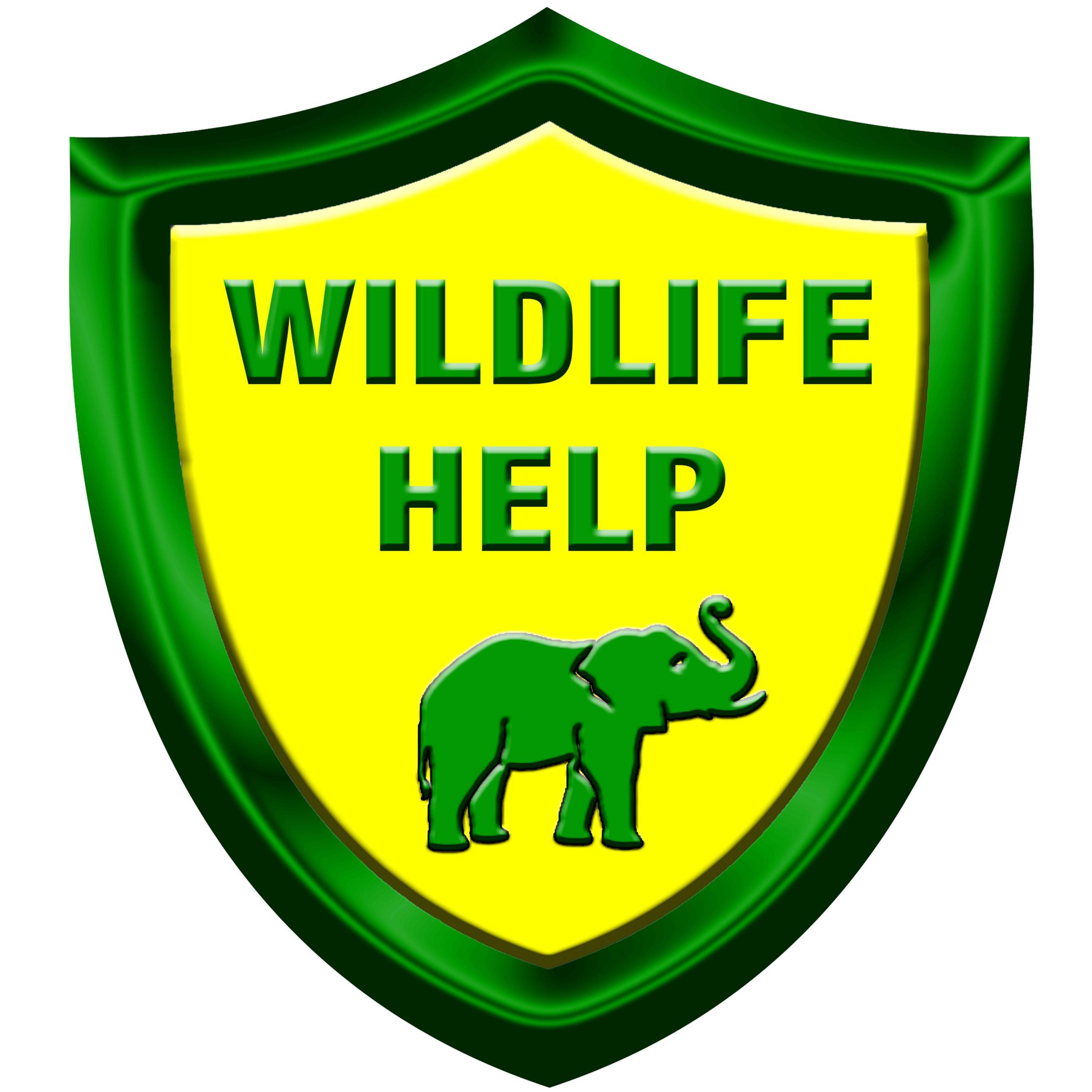 Help wildlife. Help wildlife. Rehabbers. Help wildlife. животные больше человека.