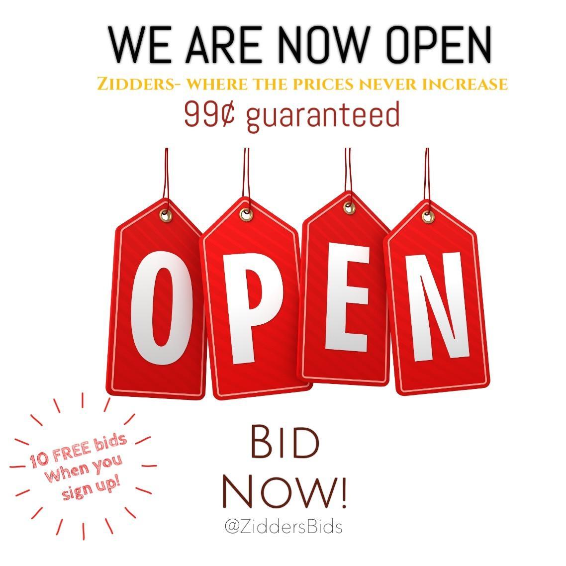 PennyAuctionsZ1's profile picture. Where the prices never increase