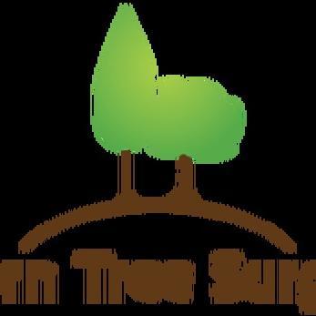 Whether you need tree services to improve the presentation of your garden or to deal with damaged or diseased trees, our experienced tree surgeons can help.