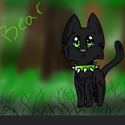 I am a leader of a pack. Its called The legend of Stars Pack. My name is Bear. This idea was based off of Erin Hunter. Add me on aj
(aleadinglegend)