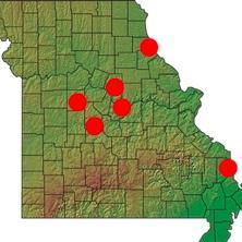 MOHealthNetwork's profile picture. 