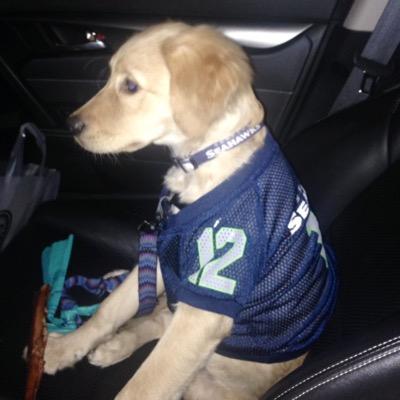 Rodiggs's profile picture. 