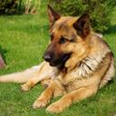 Dylan Hanley - @dylan_hanley123 - Twitter