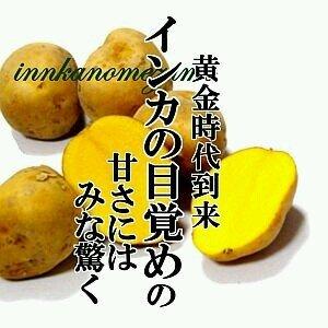 軍師と敬語と天才と変態が好きな、骨髄まで腐りきった超根暗死にたがりヌルゲーマー。BASARAとか無双とかパズドラとかさんぱずとかＭマスとか。フォロー前についぷろ一読お願いします。