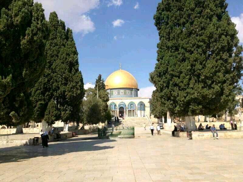 mhmd_abdulkerim's profile picture. 