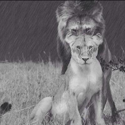 he doesnt love you like you love him