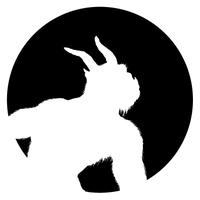 Trollune (@trollune) 's Twitter Profile