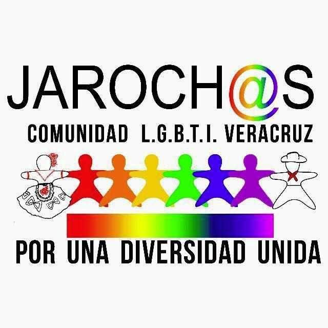 Grupo Asociación Civil De Apoyo Y Dignificación De La Comunidad LGBTI En El Estado Y Puerto De Veracruz