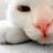 hanana1227's profile image