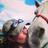 JackieB519's profile image