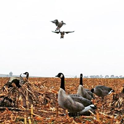 hunting fishing sledding braap