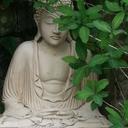 harvey webb - @harveybuddha - Twitter