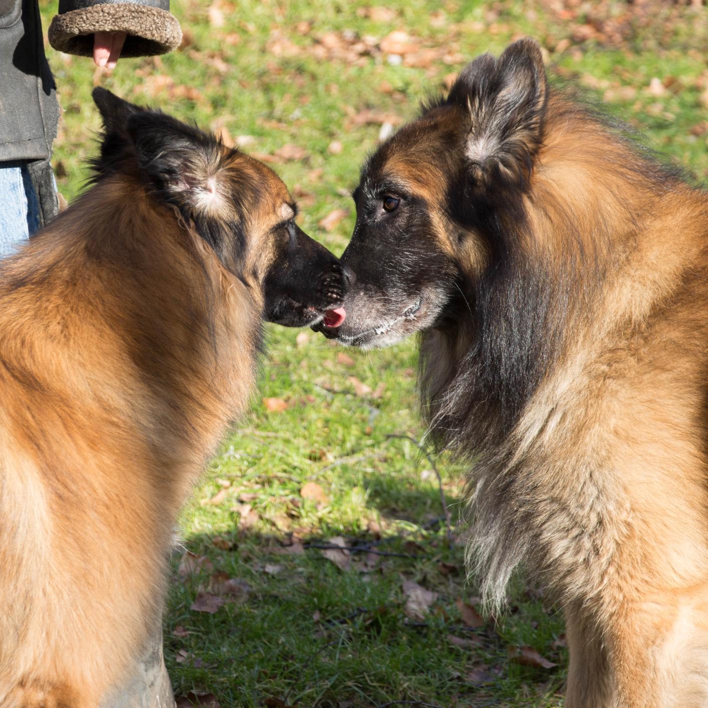 gongevangen's profile picture. 