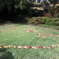 We hired Annette at FloraWorx for our wedding on April 5, 2014 and she was nothing short of amazing.