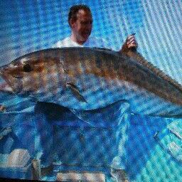 4ec732de588d404's profile picture. 