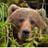 CHaich456's profile image