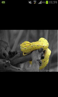 javitorre2002's profile picture. 