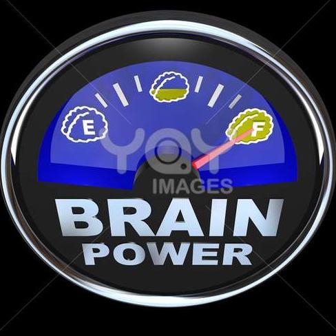 19PDevelopment's profile picture. 